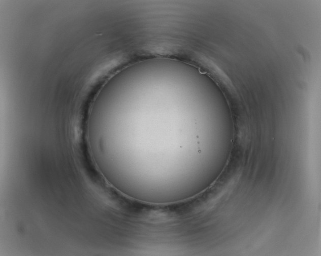 X0000114690635200910211313
