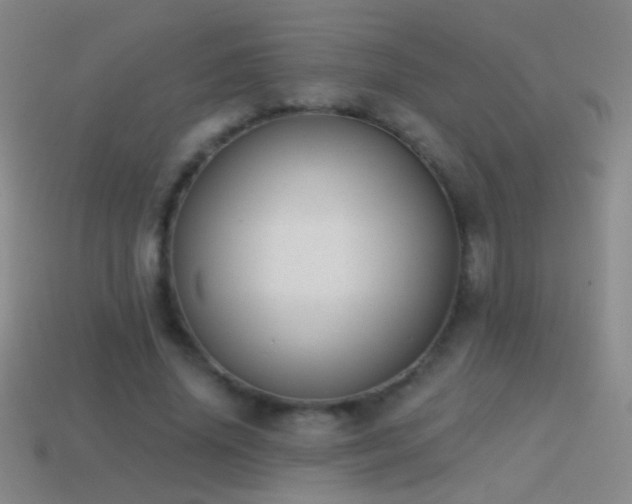X0000114690636200910211313