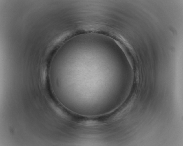X0000114690637200910211313