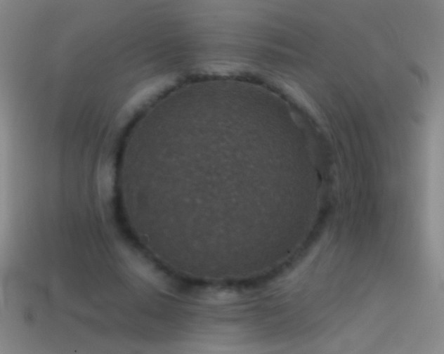 X0000114690640200910211313