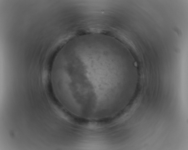 X0000114690641200910211313