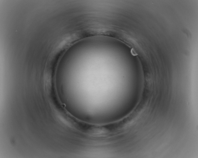 X0000114690642200910211313