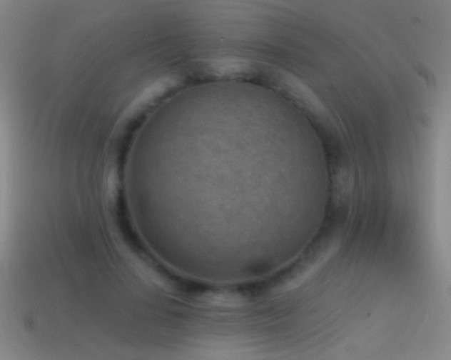 X0000114690644200910211313