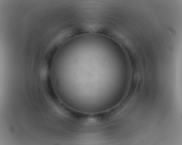 X0000114690647200910211313