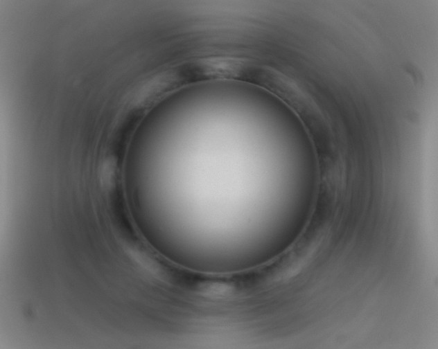 X0000114690649200910211313