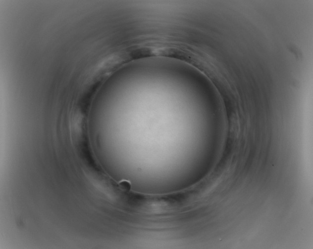 X0000114690650200910211313