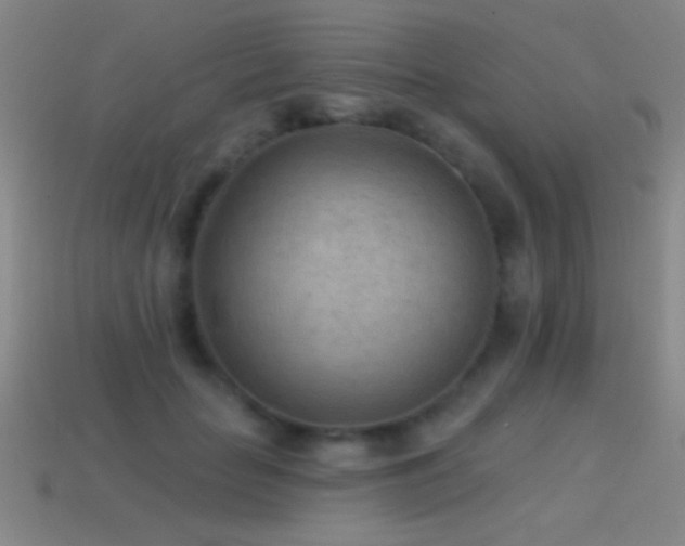 X0000114690653200910211313