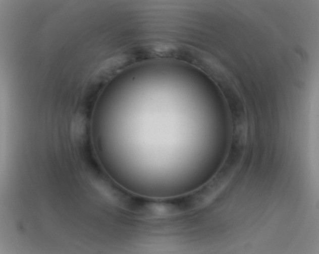 X0000114690654200910211313