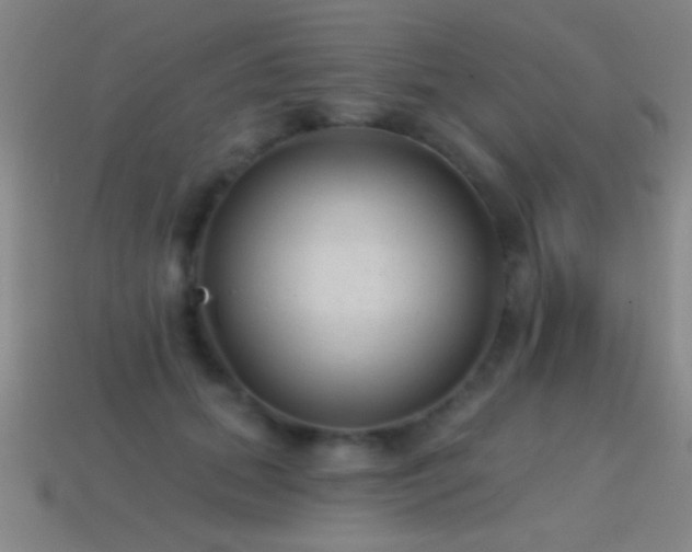 X0000114690655200910211313