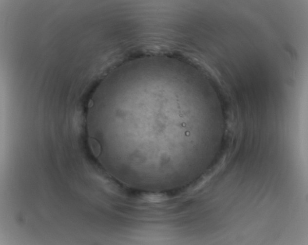 X0000114690659200910211313