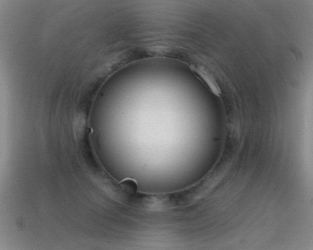 X0000114690660200910211313