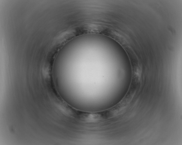 X0000114690663200910211313