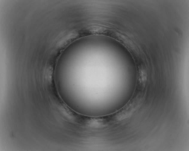 X0000114690664200910211313