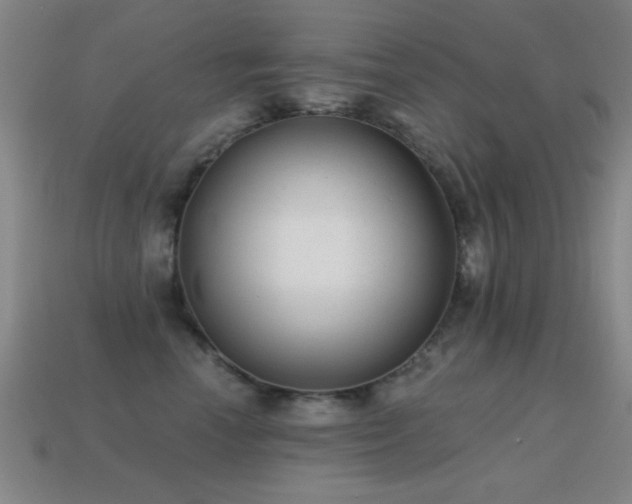 X0000114690666200910211313