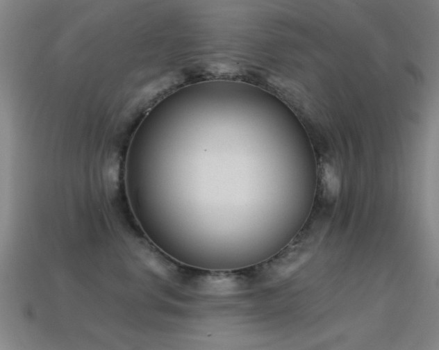 X0000114690668200910211313