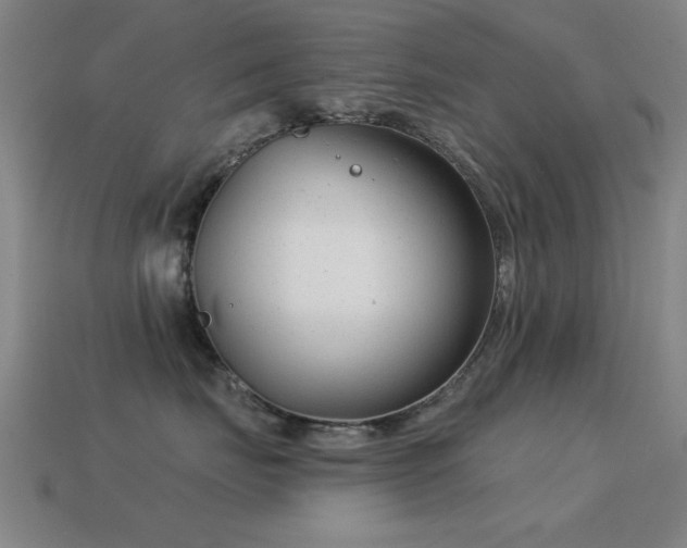 X0000114690671200910211313