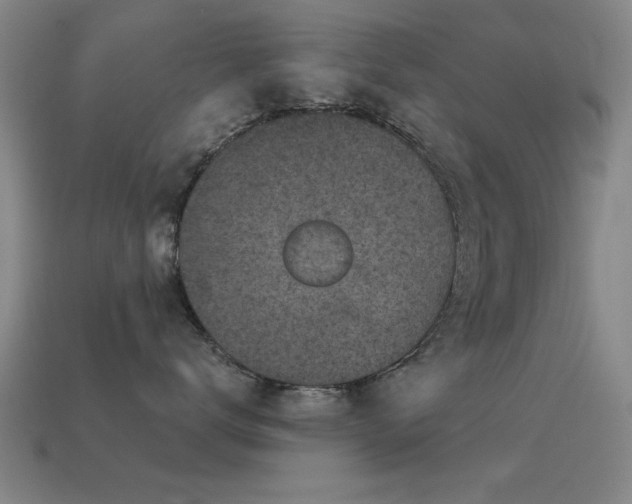 X0000114690672200910211313