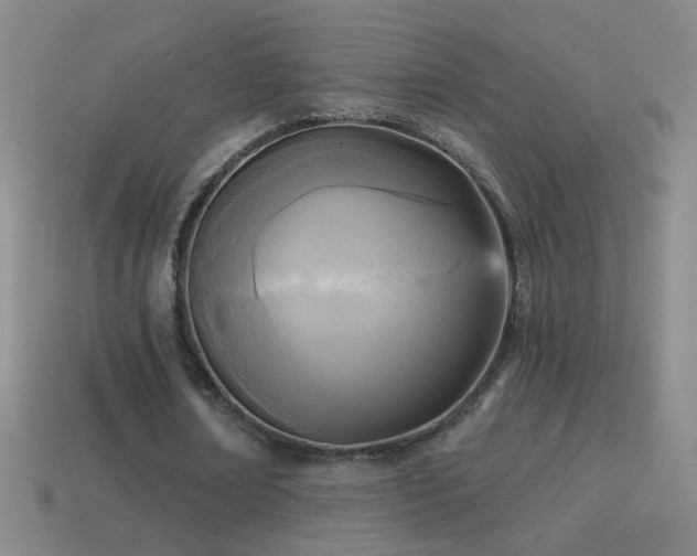 X0000114690674200910211313