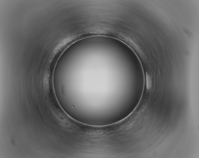 X0000114690675200910211313
