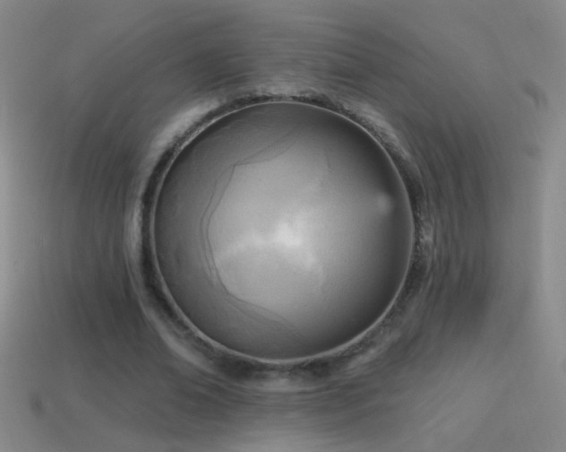 X0000114690678200910211313