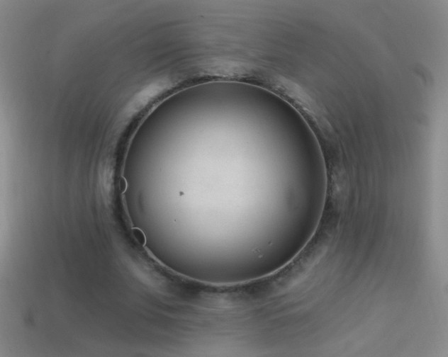 X0000114690679200910211313