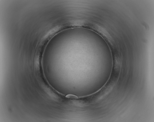 X0000114690681200910211313