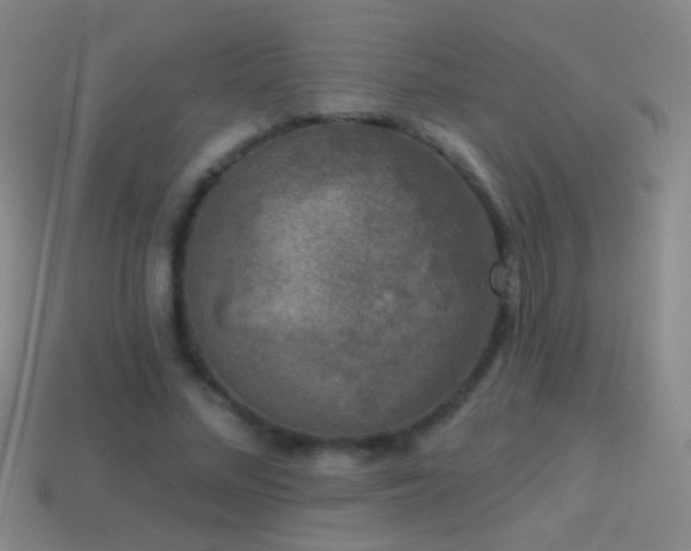 X0000114690684200910211313
