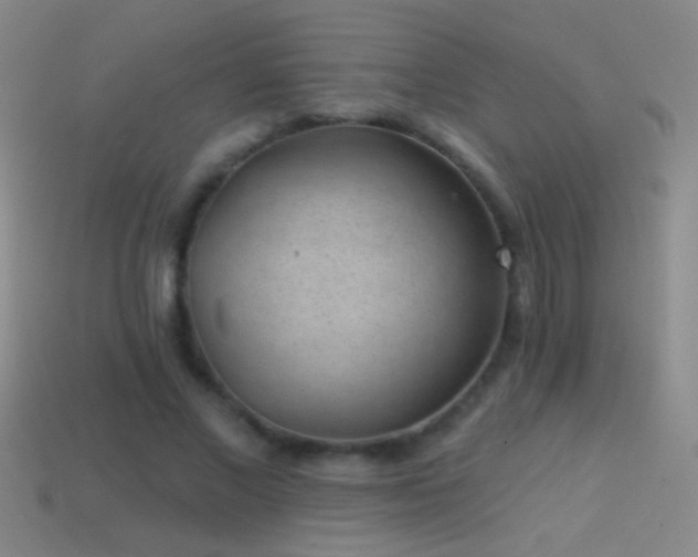 X0000114690685200910211313