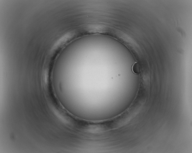 X0000114690686200910211313