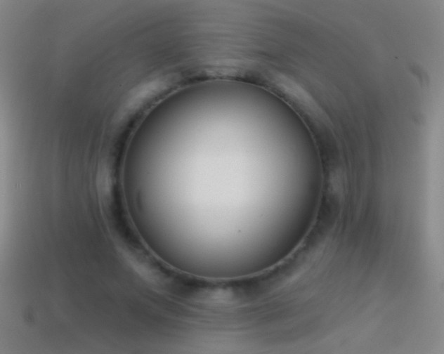 X0000114690687200910211313