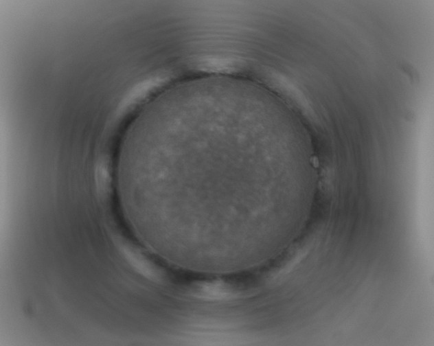 X0000114690688200910211313
