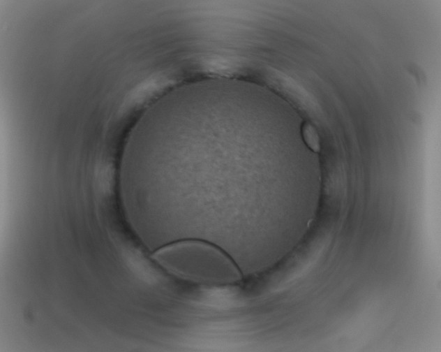 X0000114690689200910211313