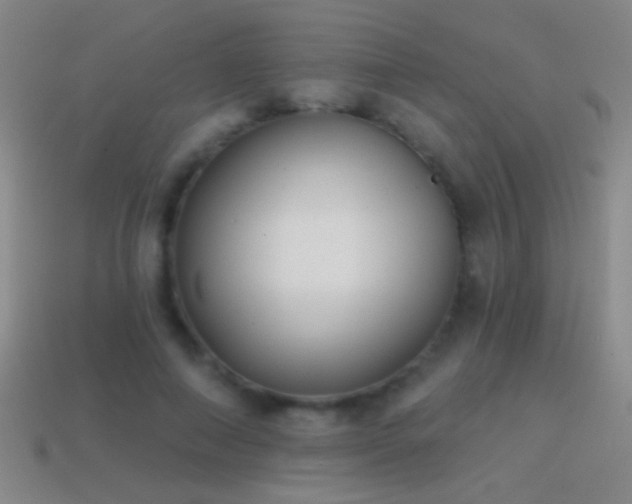 X0000114690690200910211313