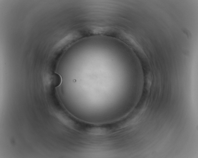 X0000114690691200910211313