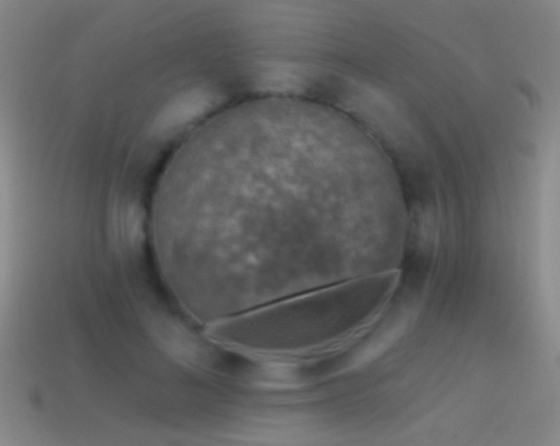 X0000114690692200910211313
