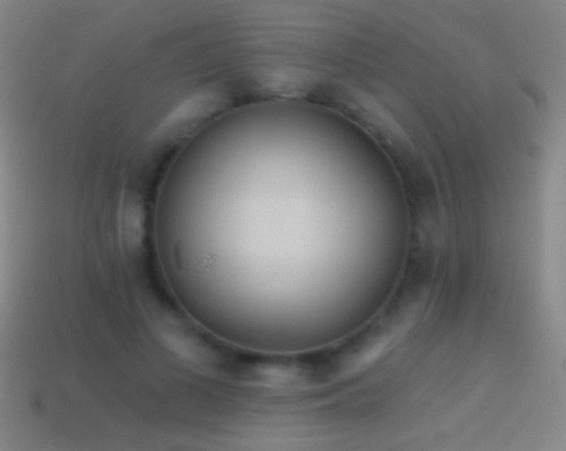 X0000114690693200910211313