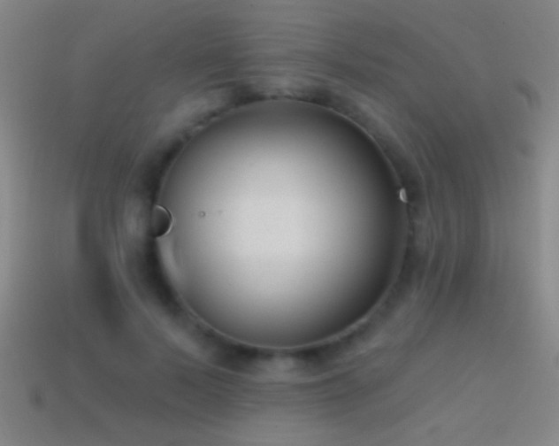 X0000114690695200910211313