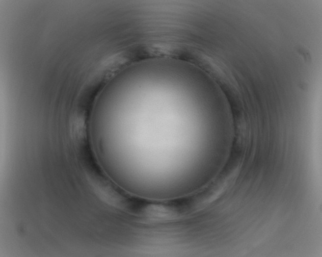 X0000114690699200910211312