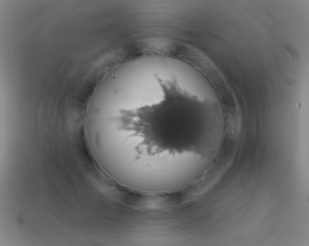 X0000114690701200910211312