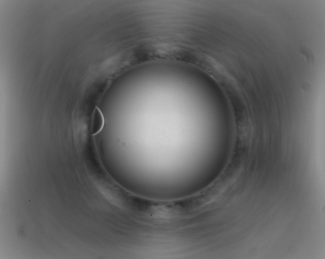 X0000114690703200910211312