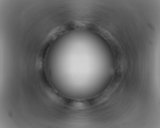 X0000114690706200910211312