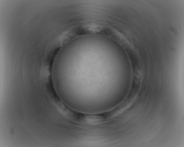 X0000114690707200910211312