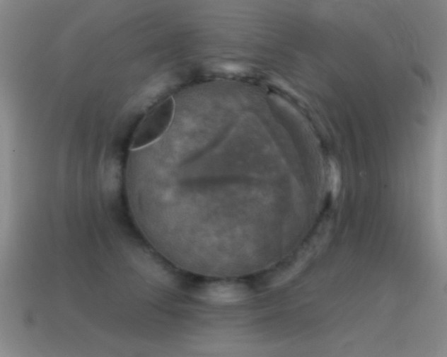 X0000114690708200910211312