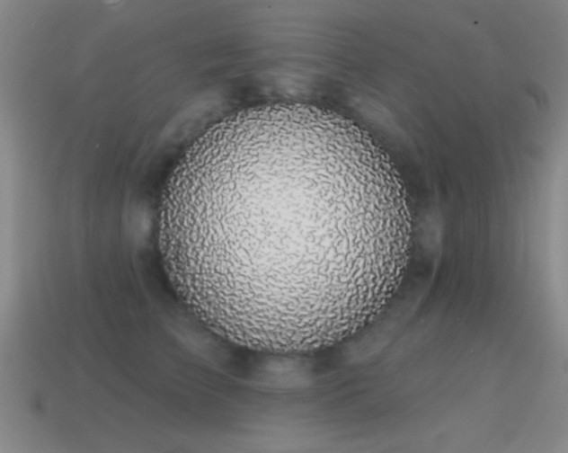 X0000114690709200910211312