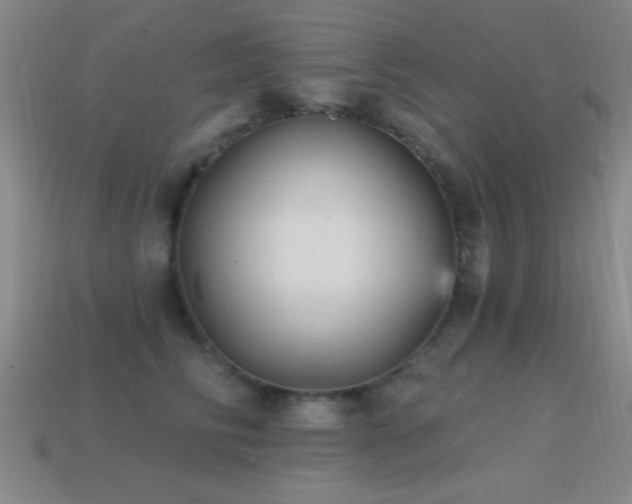 X0000114690710200910211312