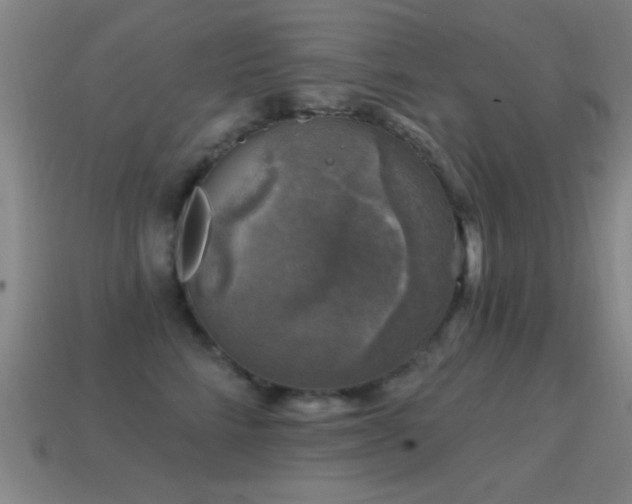X0000114690712200910211312
