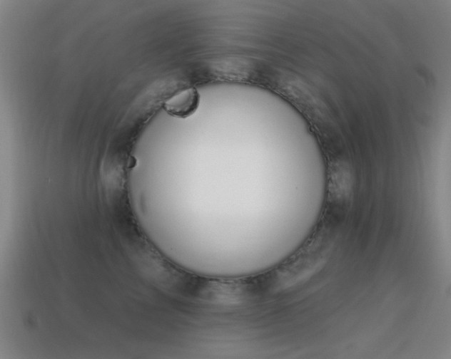 X0000114690713200910211312