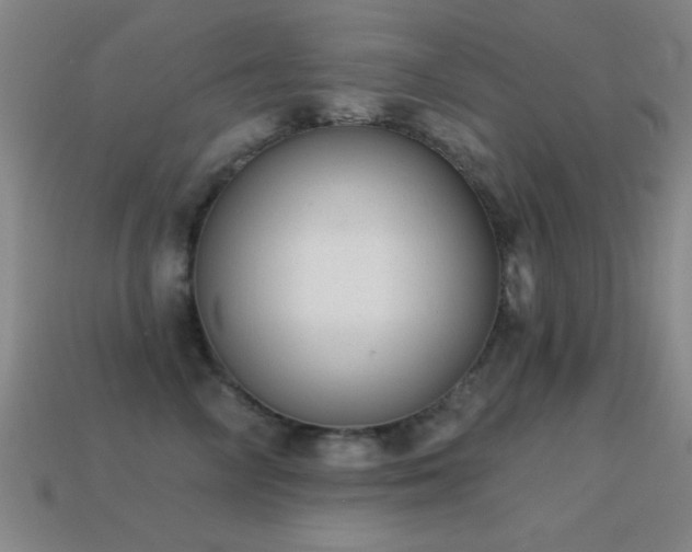 X0000114690714200910211312