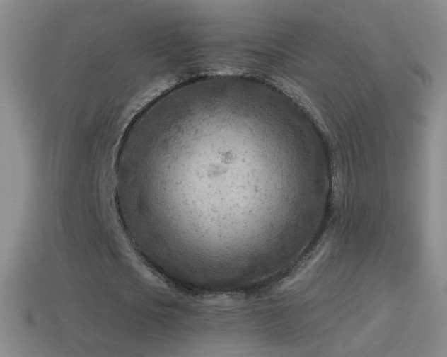 X0000114690721200910211312