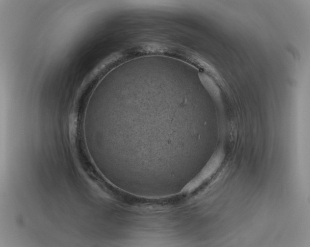 X0000114690722200910211312